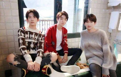 娱乐圈私生是什么,揭秘明星隐私的灰色地带