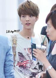 exo鹿晗资料,从EXO到独闯星途的蜕变之路